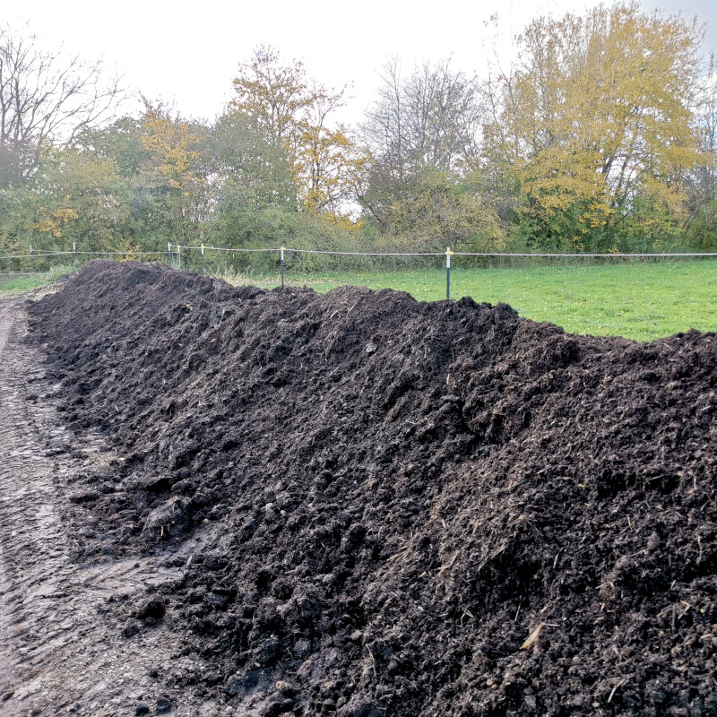 Kompost Dünger